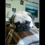 Donna Van Dyke - @donna.vandyke - Instagram
