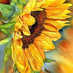 Donna Vanek - Facebook