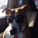 Donna Vargas - @dvargas121561 - Instagram
