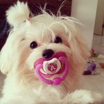 Donna Vargas Serrano ♡ - @donnavargasserrano - Instagram