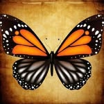 Ladonna Vasser - @ladonnavasser - Instagram