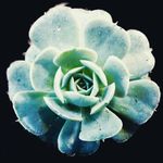 Donna Vazquez - @destiny_art777 - Instagram