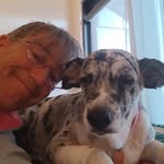 Donna Billingsley-Vickroy - @donnabillingsleyvickroy - Instagram