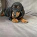 Vicky K Strasser - Facebook