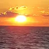 Donna Vineyard - @donna.vineyard8 - TikTok