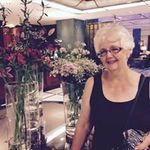Donna Vinson - @dcpvinson - Instagram