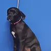 donnavinson - @donnavinson - TikTok