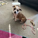 Donna vogel - @donnavogel64 - Instagram