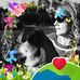 Donna Volkman - Facebook