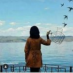 Donna Wages - @donnawagesp774 - Instagram