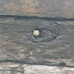 Donna Wages - @wagesd - Instagram