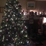 Donna Wagoner - @donnawags23 - Instagram