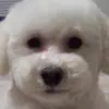 Donna Wendell - @donna.wendell - TikTok