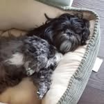 Donna Warwick - @peteysmother - Instagram