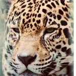 Donna Warwick - @donna.warwick.336 - Instagram