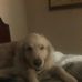 Donna Waterman - Facebook