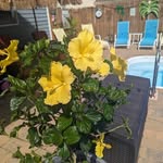 Donna Waterman Gauss - @donna.gauss - Instagram