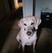 Donna Weinberg - Facebook