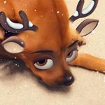 Donna Weinberger - @weinberger_donna - Instagram
