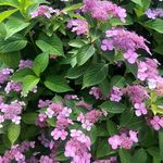 Donna Weldon - @donna.welldone - Instagram