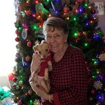 Donna Weldon - @donnaweldon36 - Instagram