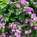 Donna Weldon - Facebook