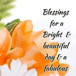 Donna Wellington - @donna.wellington.35 - Instagram