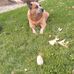 Duane Wendling - Facebook