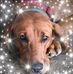 Donna Wenger - Facebook