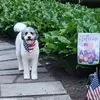 Donna Wentzel - @donna.wentzel8 - TikTok