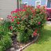 Donna Wentzel - Facebook