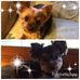 Donna Wenzel - Facebook
