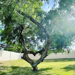 Donnaka - @donna_wermuth - Instagram