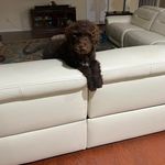 Donna H Werner - @donnawerner2849gmailcom - Instagram