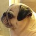 Donna Werner - Facebook