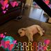 Donna Werner - Facebook