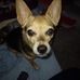 Donna Werner - Facebook
