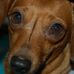 Donna Werner - Facebook