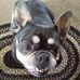 Donna Wert - Facebook