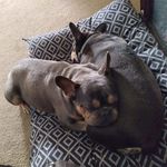 Donna Wert - @peeper_welcome - Instagram