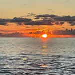 Donna Werthman - @donna_werthman - Instagram