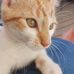 Donna Wester - Facebook
