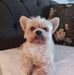 Donna Westerfield - Facebook