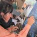 Donna Toavs Western Art - Facebook