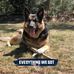 Donna Westover - Facebook
