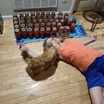 Donna Wetzel - @wetzel6101 - Instagram