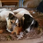 Donna Wetzel - @d0723wtzl - Instagram