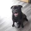 Donna Whitwham - @donna.whitwham - TikTok