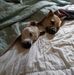 Donna Wenger - Facebook