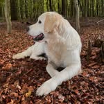 Donna - @donna_wheatons - Instagram